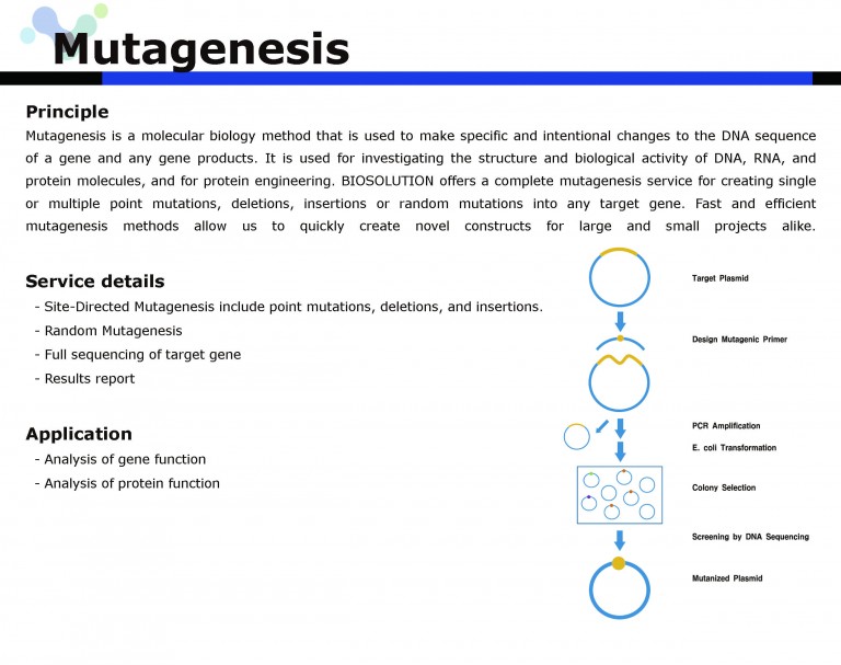 Mutagenesis | Biosolution