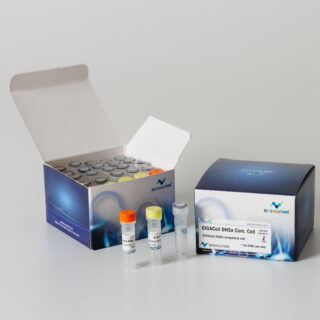 [MC100] GIGACell Competent Cell, DH5α